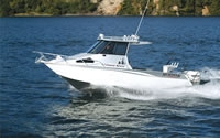 MV 22 Megabites