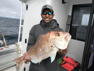 Nice Winter Snapper