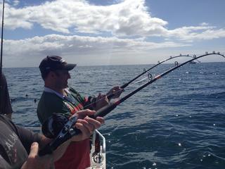 Bending rods - the thrill in fishing