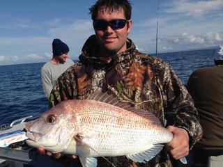 Snapper catch on the day trip
