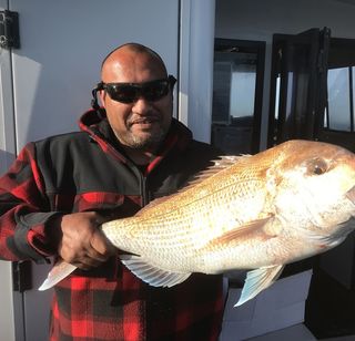 Spring Snapper in the Hauraki Gulf