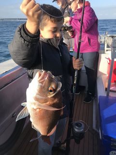 Young Kyle with a nice snapper