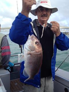 Another Nice Snapper