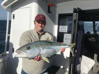 Winter Kingfish