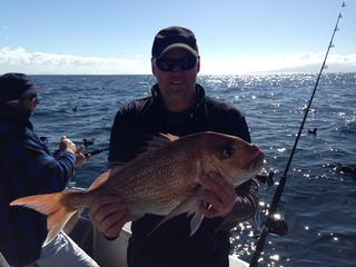 Bottom fished snapper