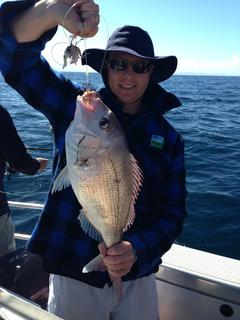 snapper on our trips from auckland