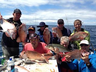 Healthy Snapper in Auckland