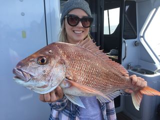 Auckland Fishing
