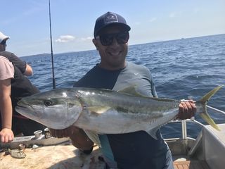 Nice Kingfish 