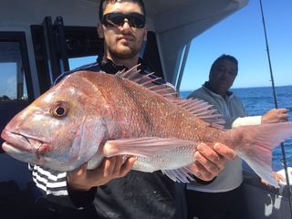 Fishing Charters Auckland