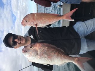 Shallows of Rangitoto