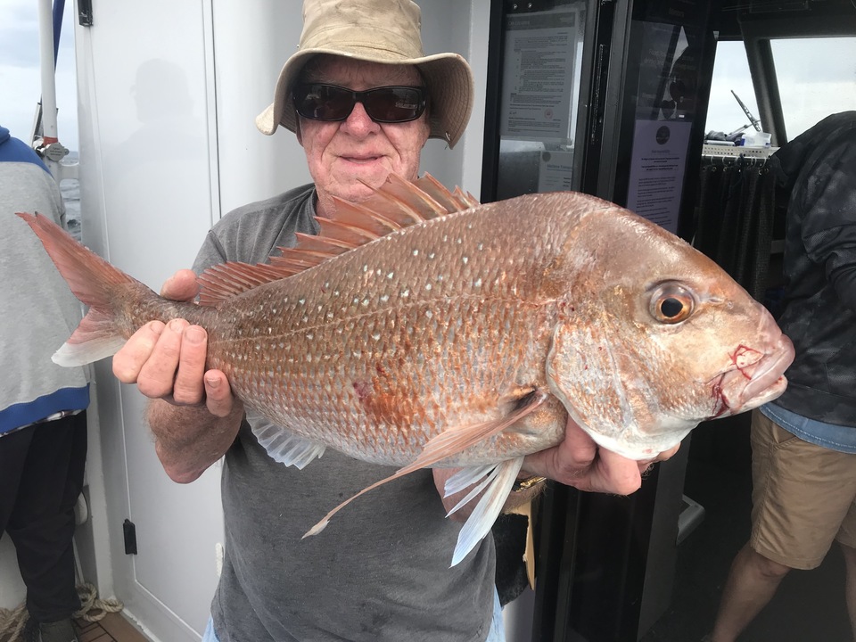 Snapper Fishing Trips in Auckland