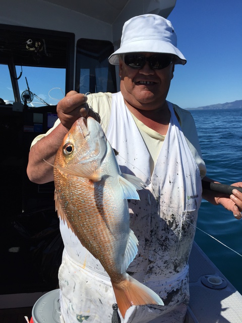Fishing Report for Auckland - 10 th November 2014