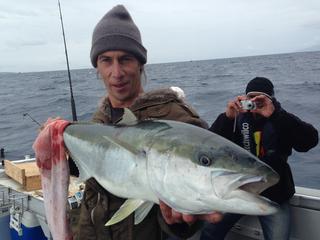Nice Kingfish